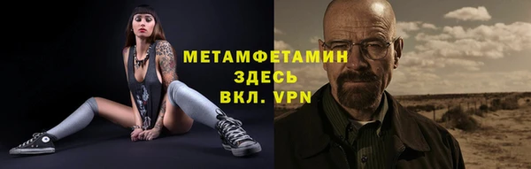 индика Богданович